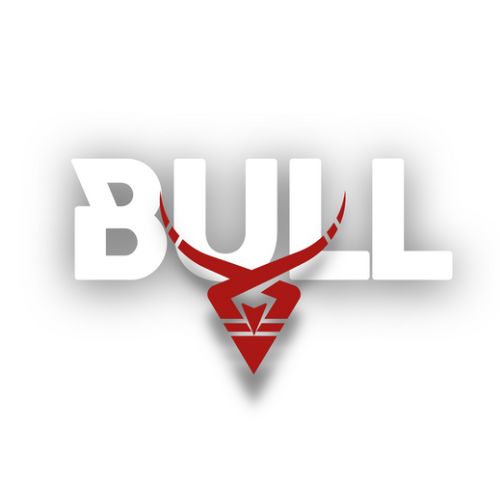 Bull Group