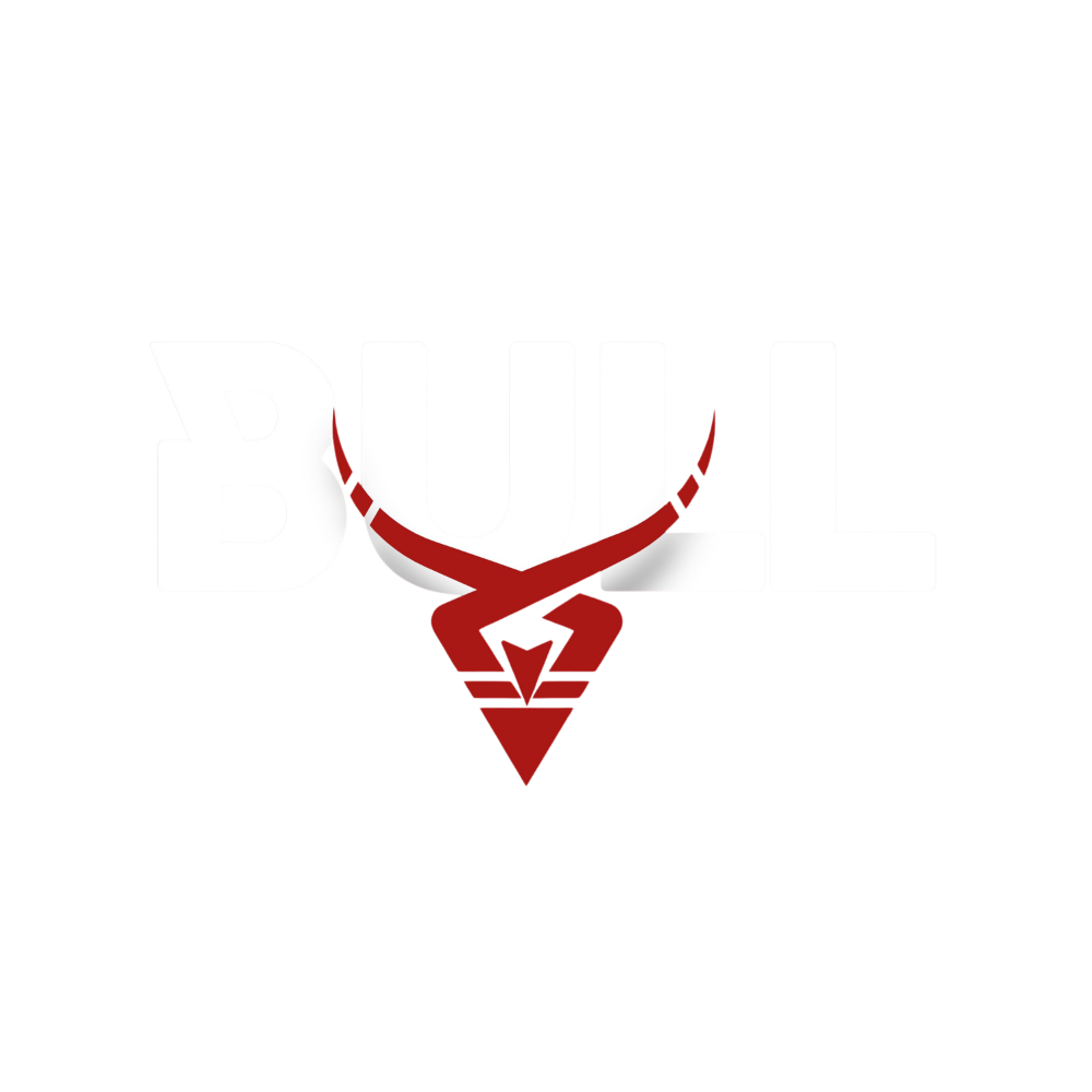 bull logo